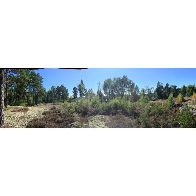 bygg, byggamera, bygga, byggahus, arkitektur, arkitekt, hus, bascointerior, bascointeriör, snickare, målare, rörmokare, plåtslagare